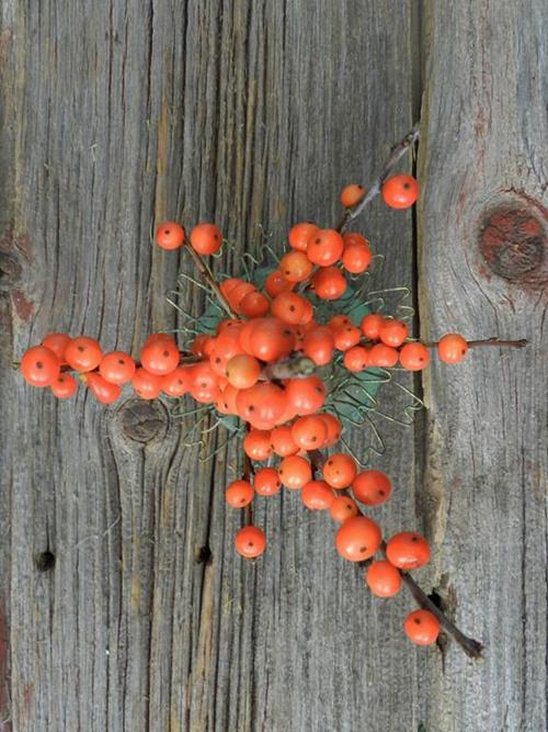  ORANGE ILEX BERRY